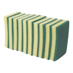 Sponge w/ Scouring Pad (10 Pack)